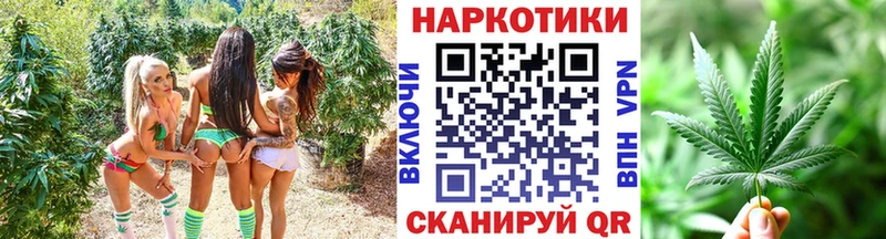 Купить наркотики цена Стрежевой Гашиш  Псилоцибиновые грибы  Меф мяу мяу 