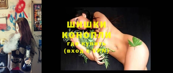 шишки Наволоки