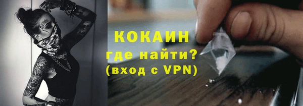 прущие грибы Навашино