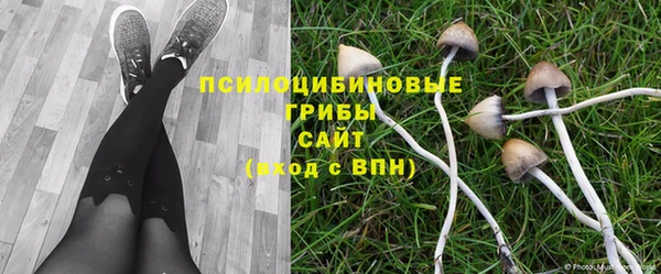 бутик Абаза