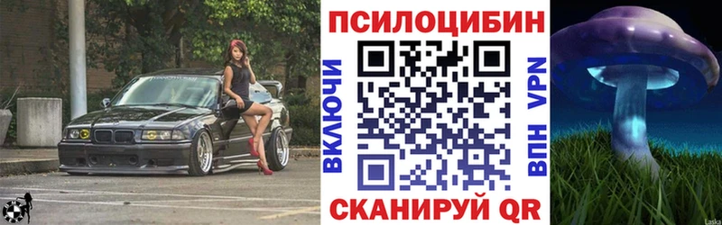 дарк нет телеграм  Стрежевой  Галлюциногенные грибы ЛСД  блэк спрут ссылка 